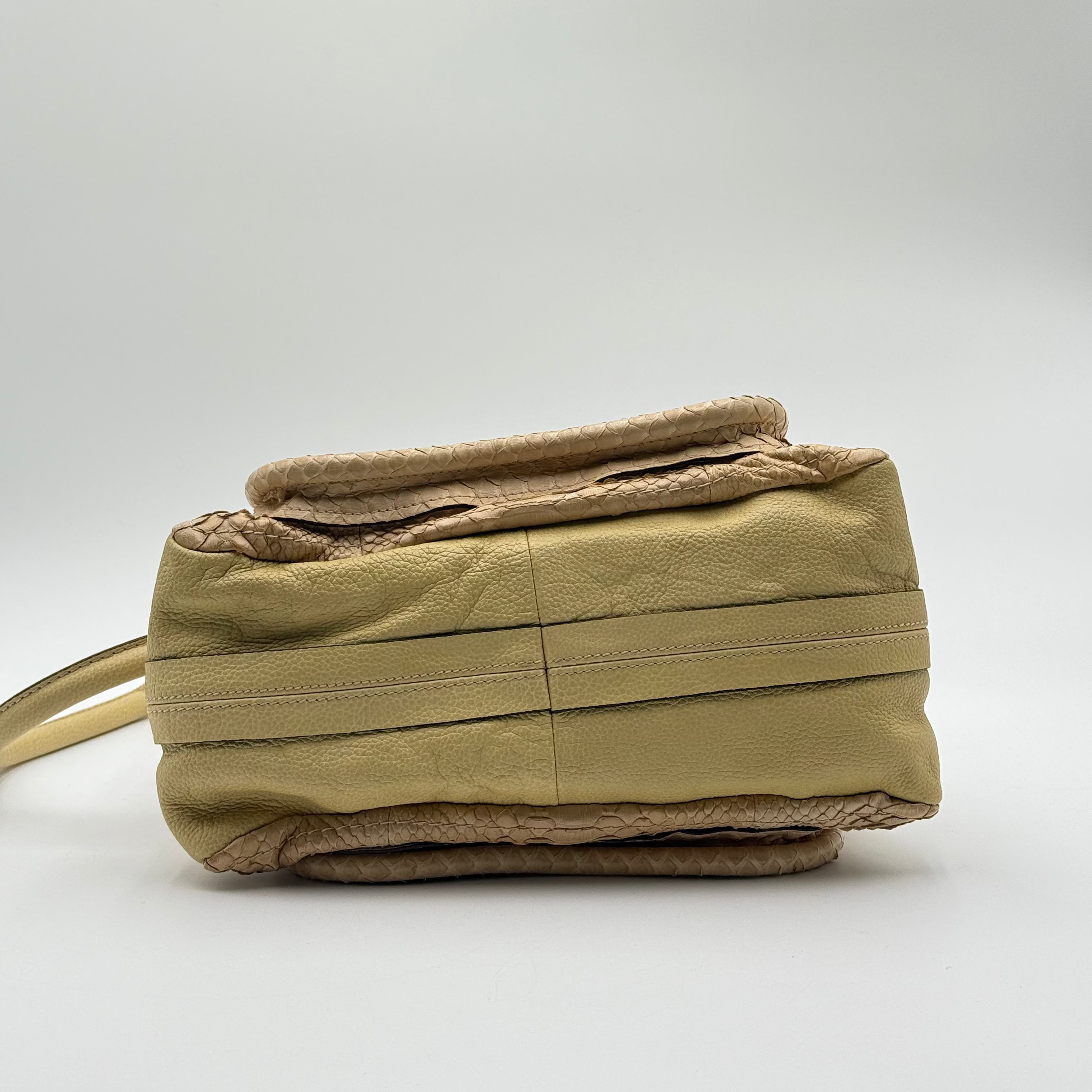 Chloé Sail Python Leather Paraty PM