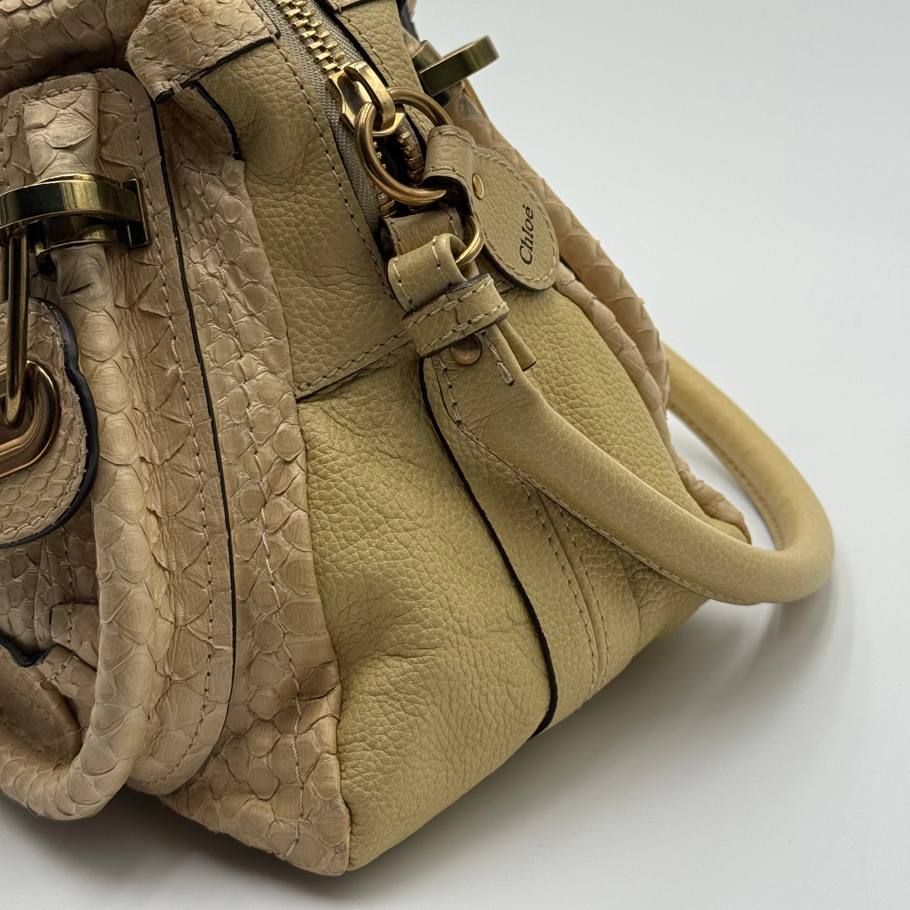 Chloé Sail Python Leather Paraty PM
