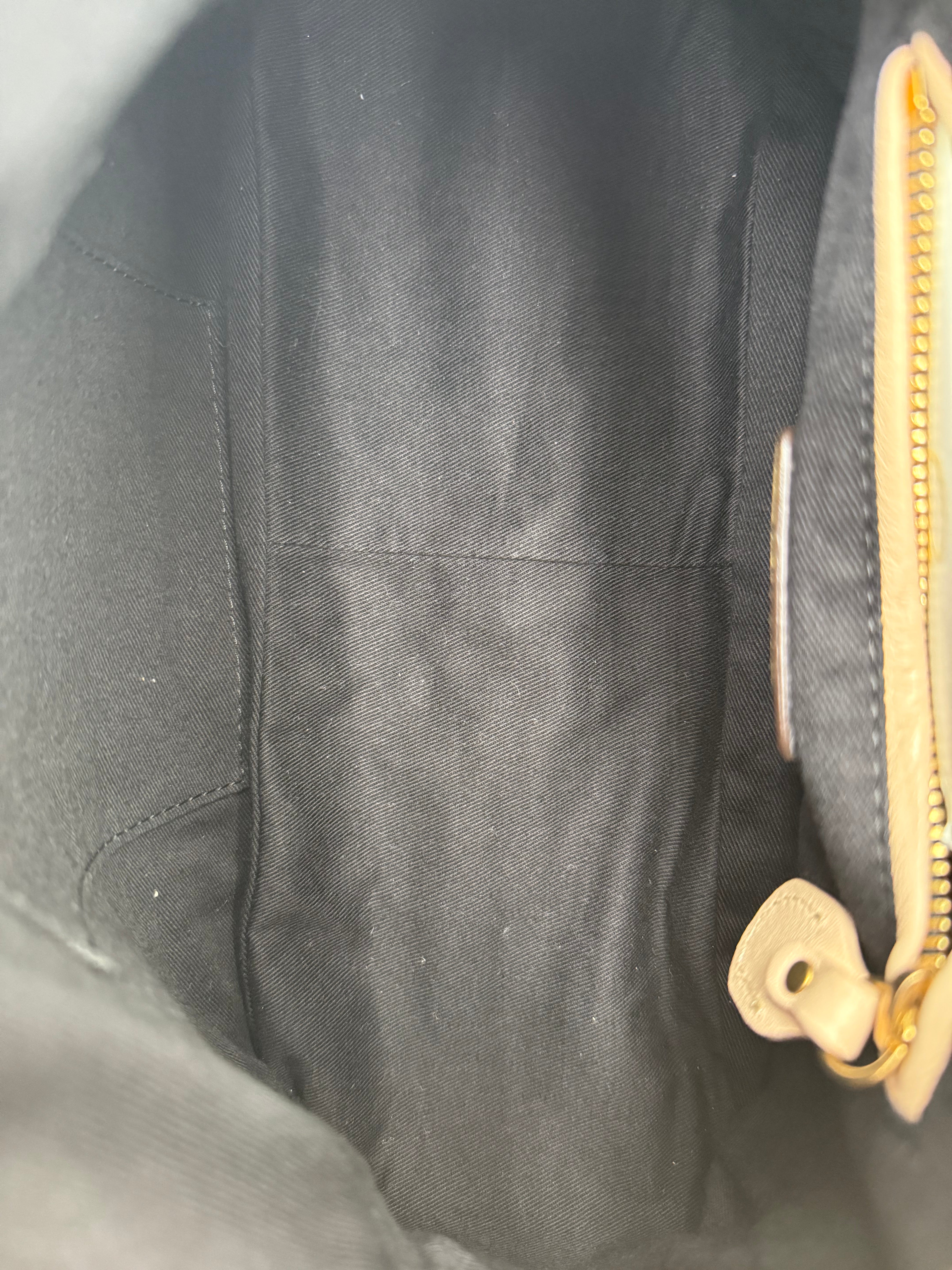 Chloé Sail Python Leather Paraty PM