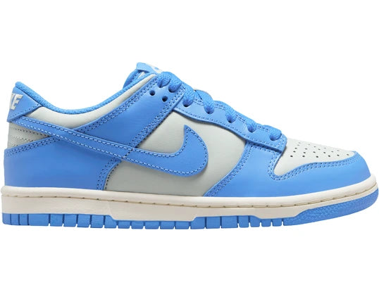 Nike Dunk Low UNC Argenté