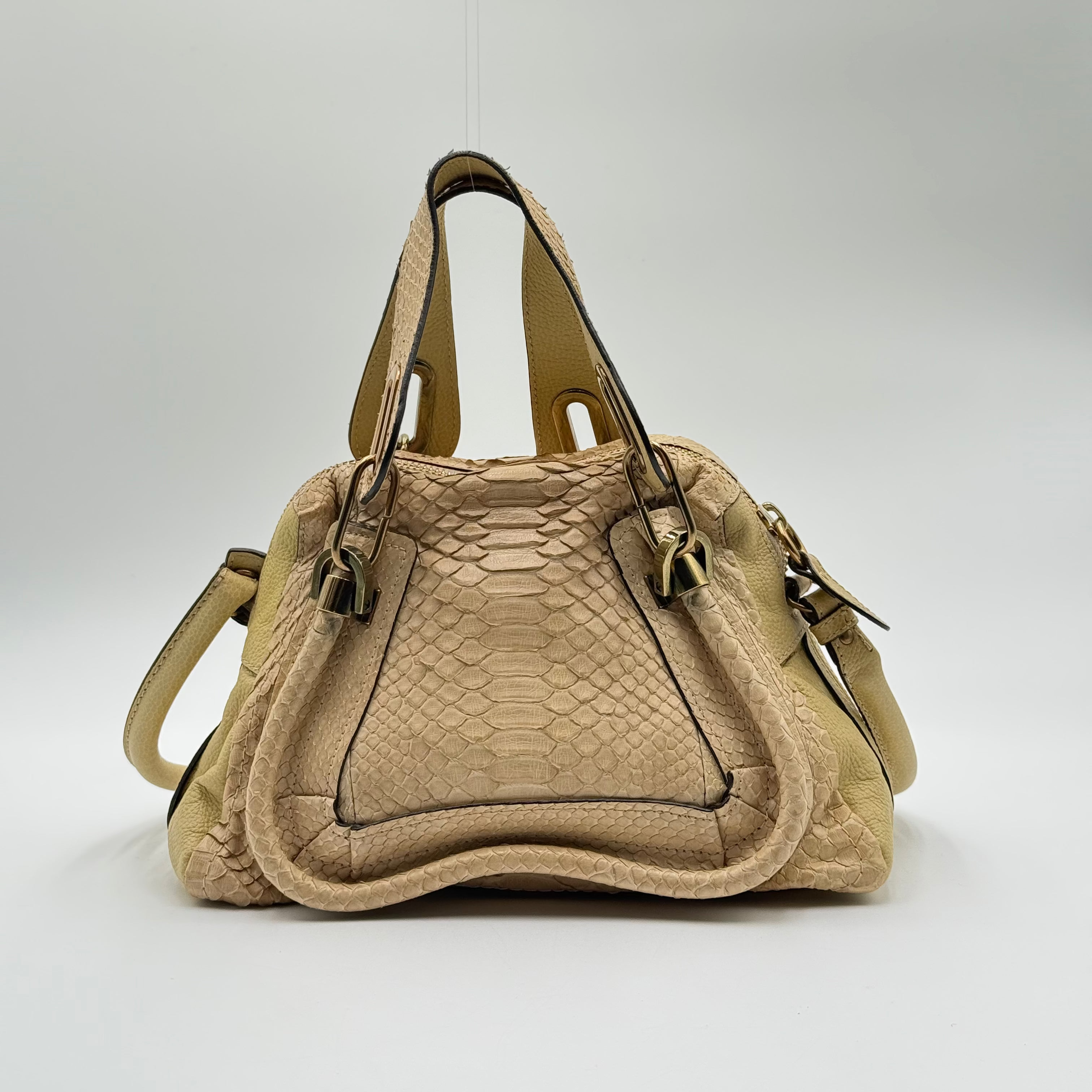 Chloé Sail Python Leather Paraty PM