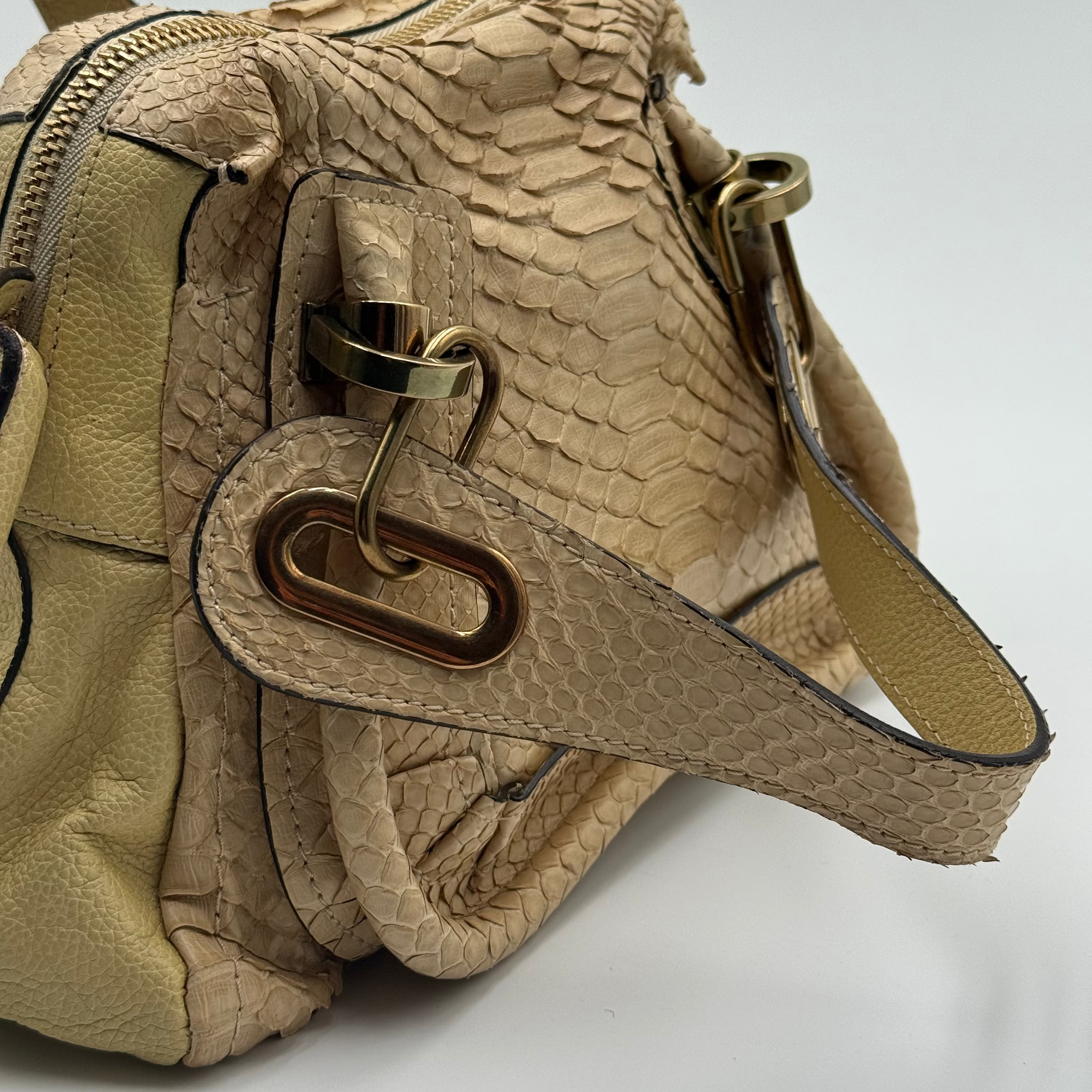 Chloé Sail Python Leather Paraty PM