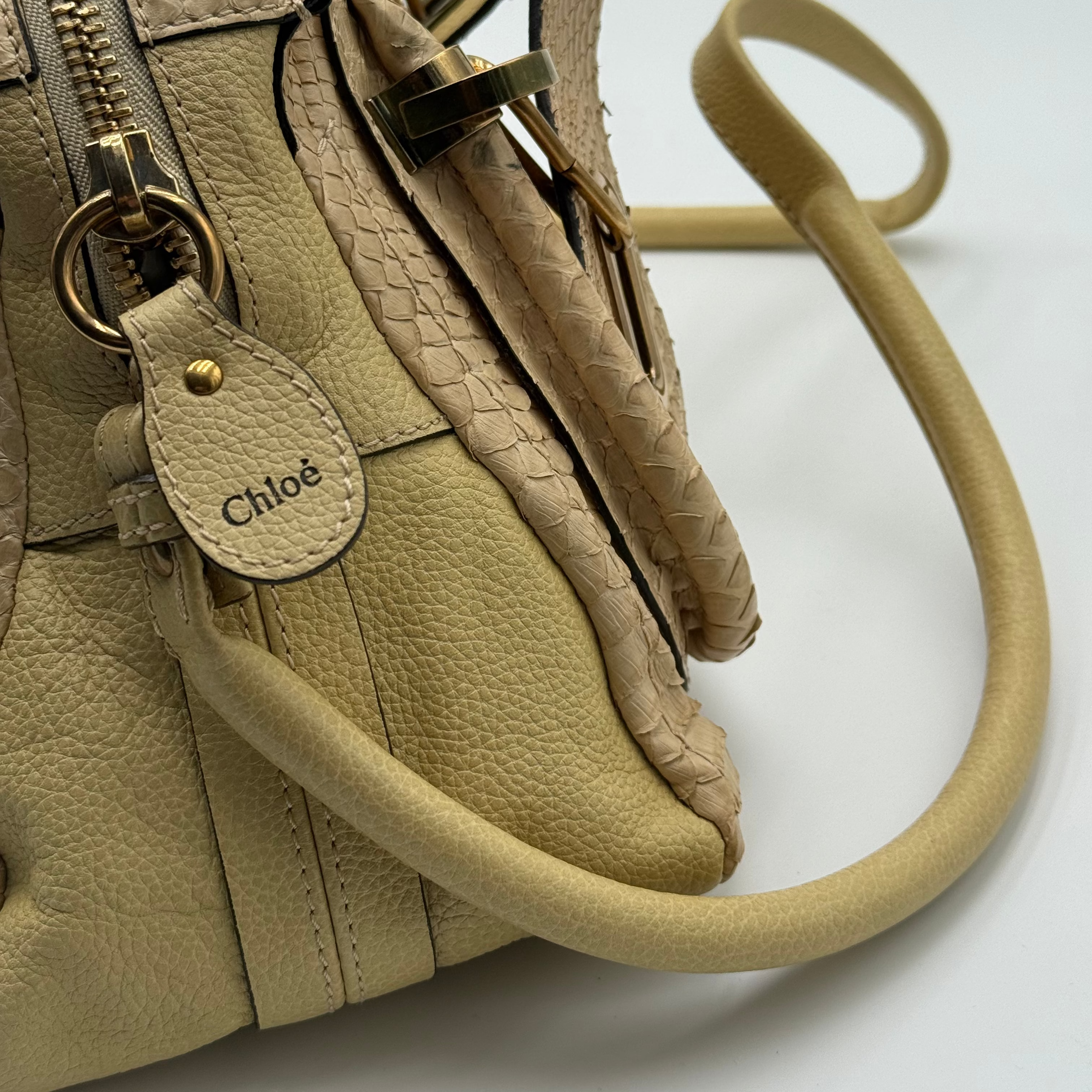 Chloé Sail Python Leather Paraty PM